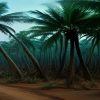 Palm Oil Plantation Management in Malaysia: What Every Estate Needs