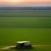 Top 10 Fertilizer Suppliers in Malaysia